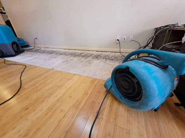 Professional Structural Drying technician working in Marine City, MI